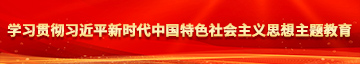 www.cjgame01.com学习贯彻习近平新时代中国特色社会主义思想主题教育